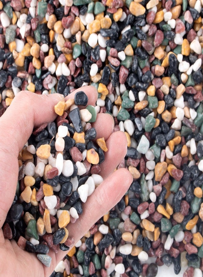 AVALUTION Aquarium Gravel for Plants -2.4lb Fish Tank Gravel for Succulent Cactus & Bonsai, 1/4Inch Decorative River Rocks Pebbles for Gardening, Flower Pots, Landscaping, Terrarium - Image 1